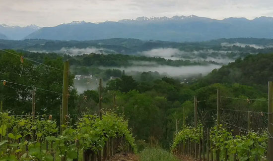 Le Domaine Cauhape - Vins blancs de Jurancon